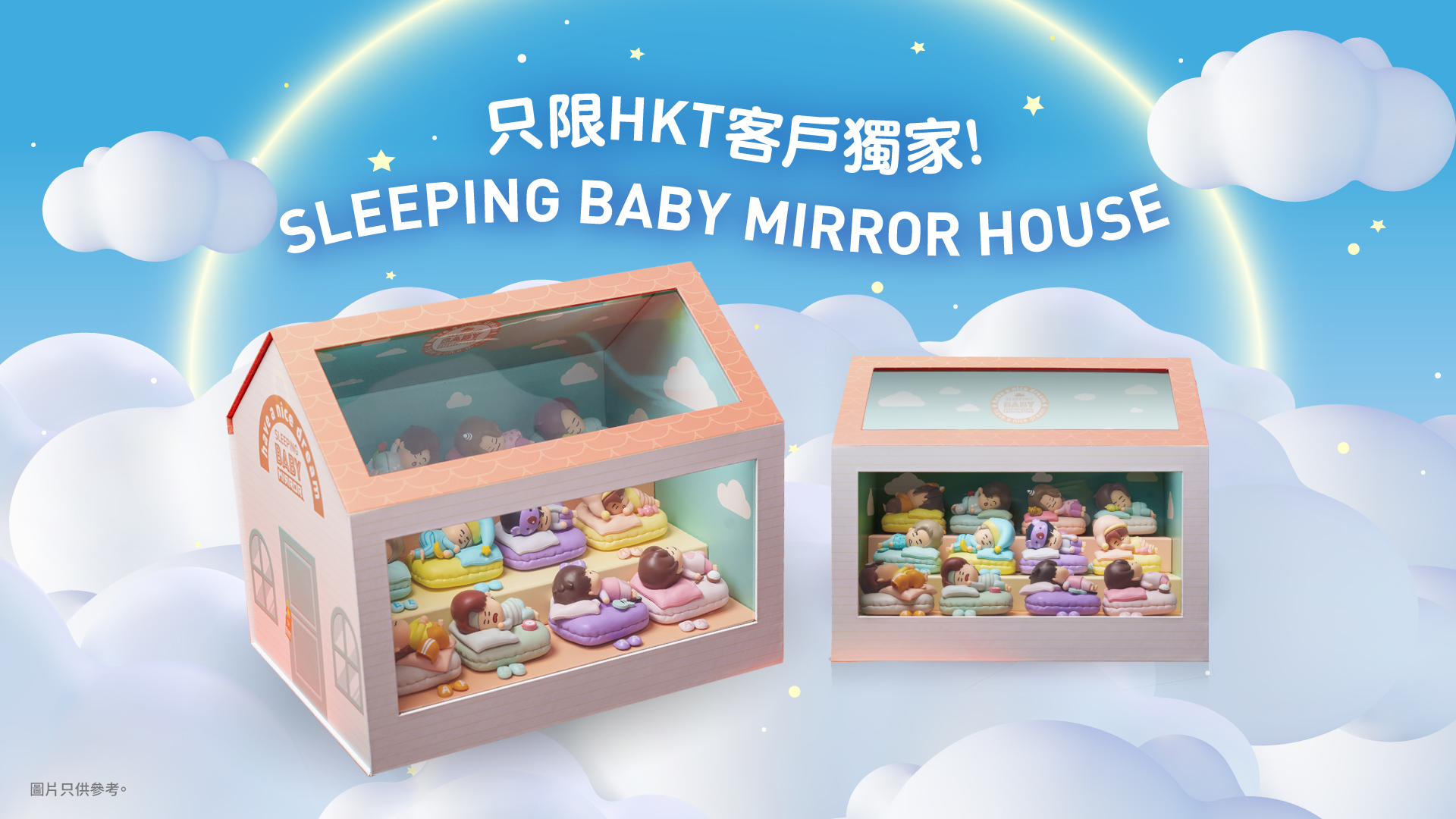 Sleeping Baby MIRROR Factsheet (House)