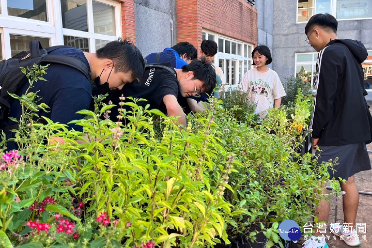 中華大學由環保局補助,在校園種植多項植栽設置綠屋頂,植栽量體面積約15平方公尺。