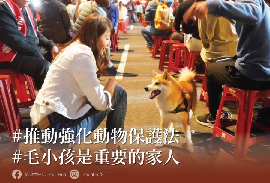 北市虐寵事件 許淑華痛心:應該調高相應刑責 256 北市虐寵事件 許淑華痛心:應該調高相應刑責 255