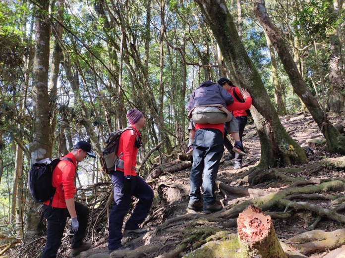 穿平底鞋登山6旬婦摔10米山谷哀號 搜救人員急救援揹負就醫。記者爆料網