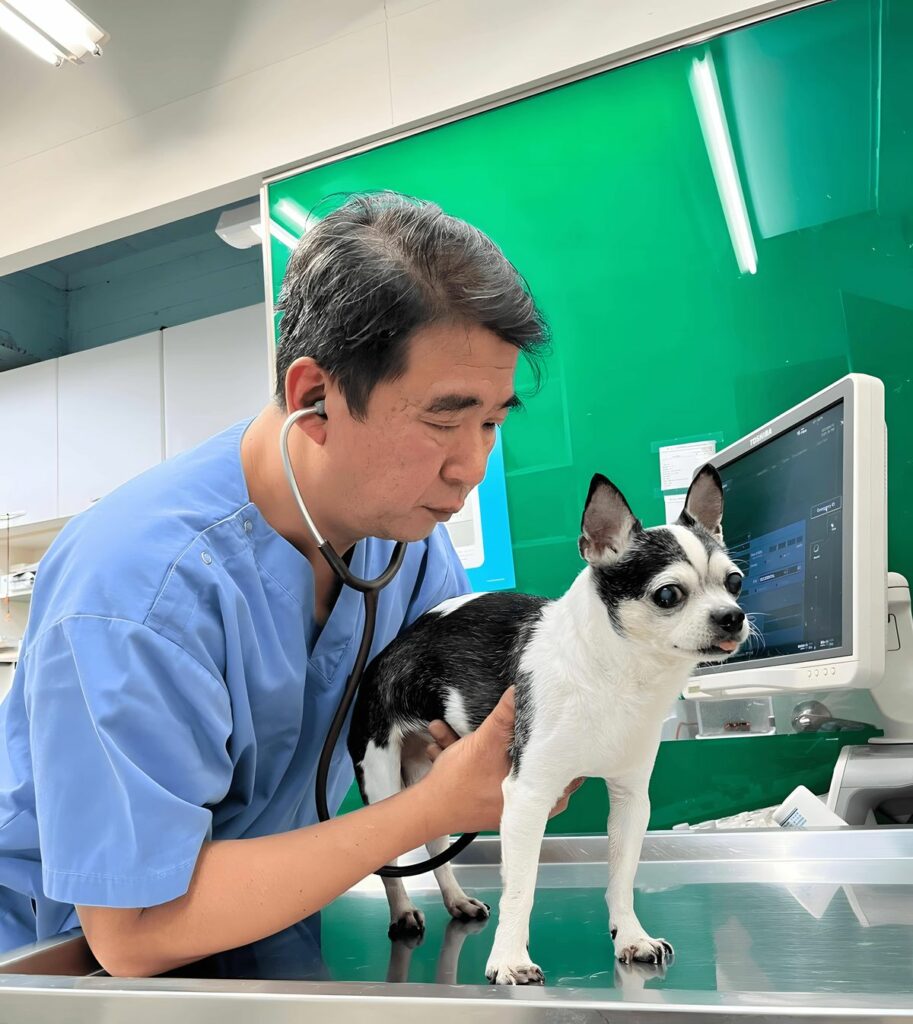 台北市獸醫師公會理事長楊孝柏表示,養成定期帶貓犬做健康檢查,才是讓貓犬陪伴我們的長久之計