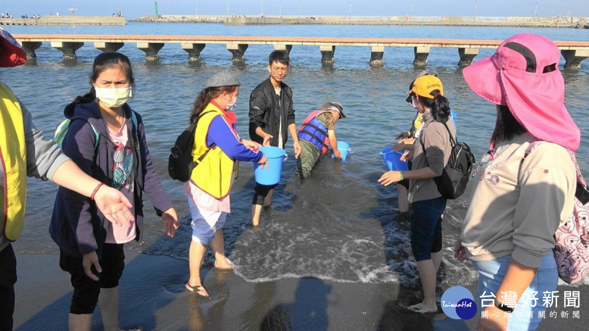 ▲高市水產動物海域放流，明年起需由符合規定權責人員執行。