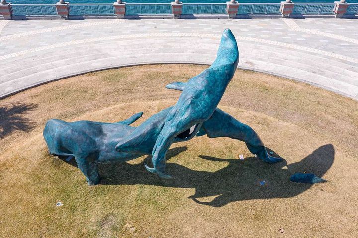西子灣打卡新地標!全台離海最近的雕塑「海洋之舞」三鯨舞動日夜皆美