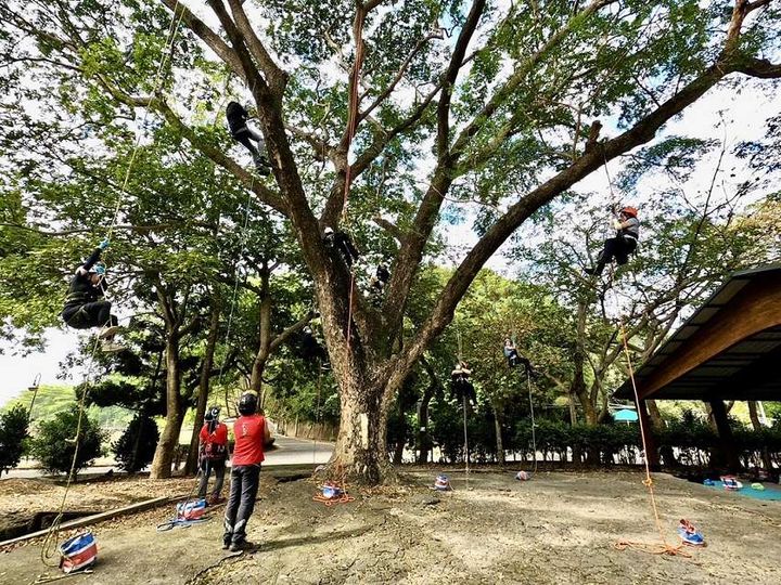 擁抱大樹的旅行 到虎頭埤攀樹、露營