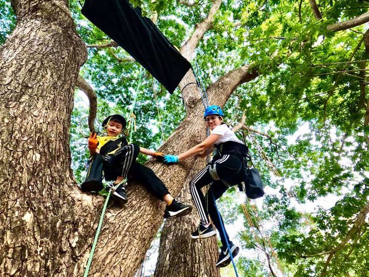 擁抱大樹的旅行 到虎頭埤攀樹、露營