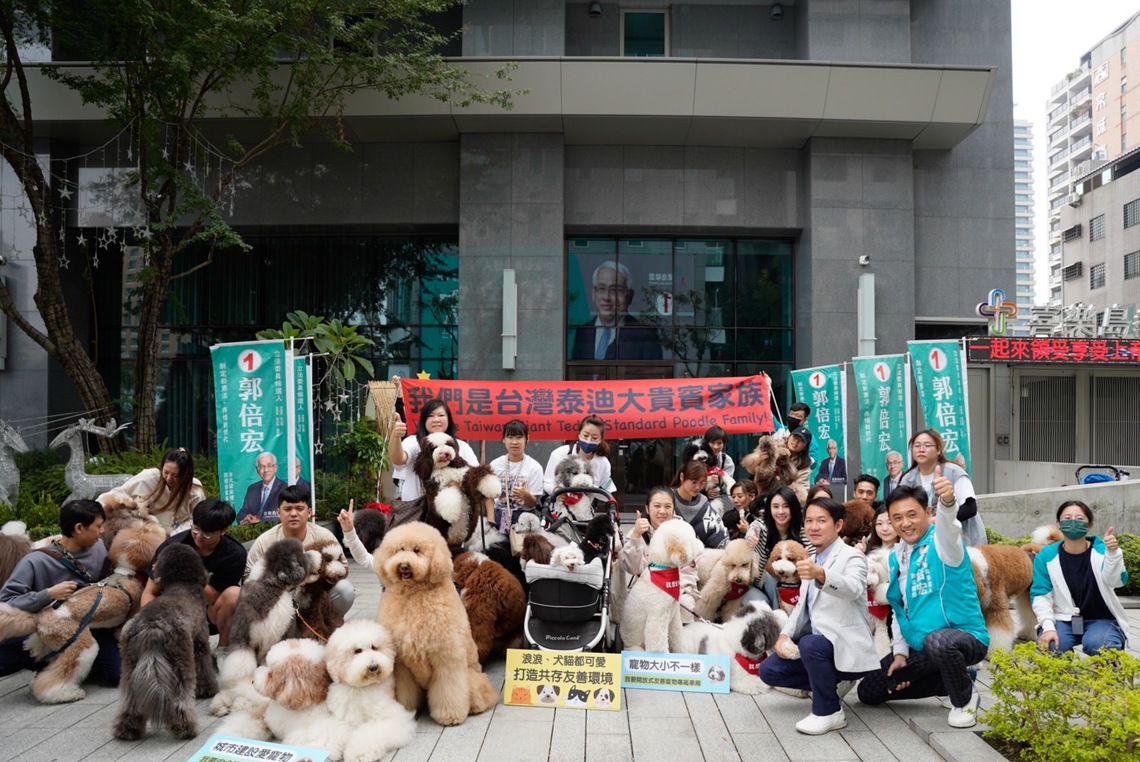 漾新聞|郭倍宏總部開「打狗趴」台灣泰迪大貴賓家族力挺郭倍宏進國會
