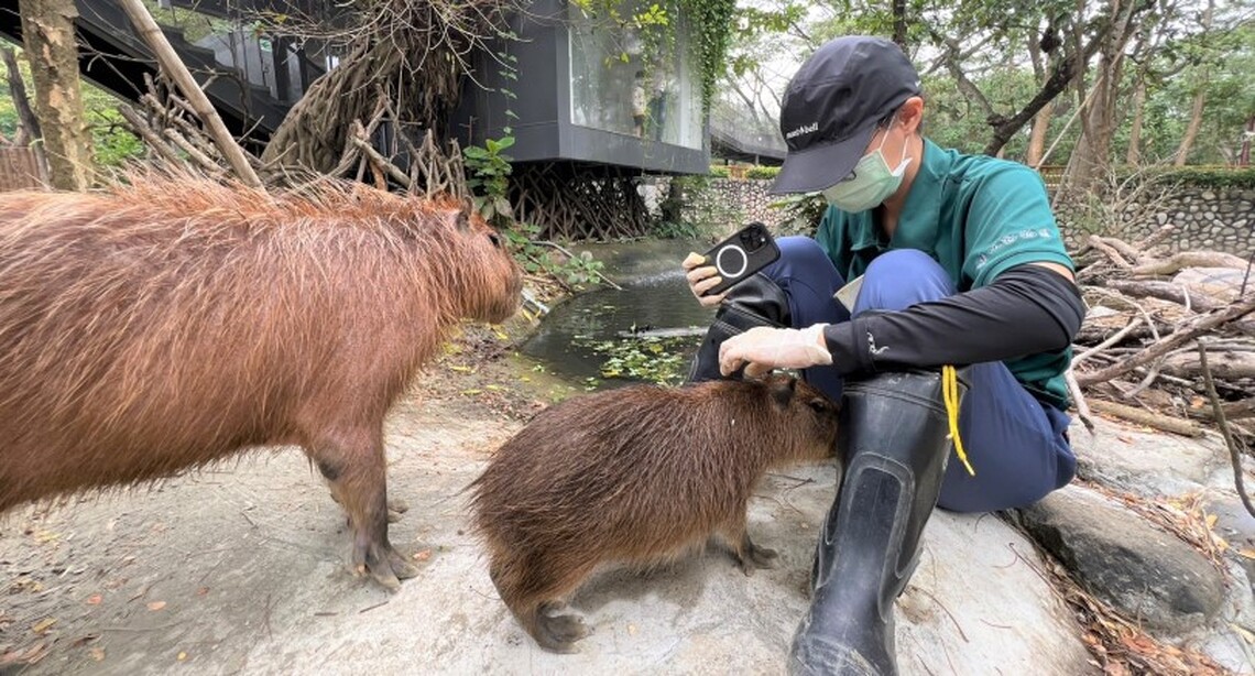 歷經兩年努力 壽山動物園保育員待遇明年元旦起調升