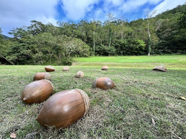 雙流國家森林遊樂區巨型橡實 草坪上的拍照熱點