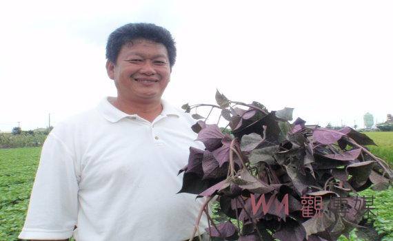 不敵疫情用茶抵稅 彰化分署舉辦「卦山法拍市集」0102變賣