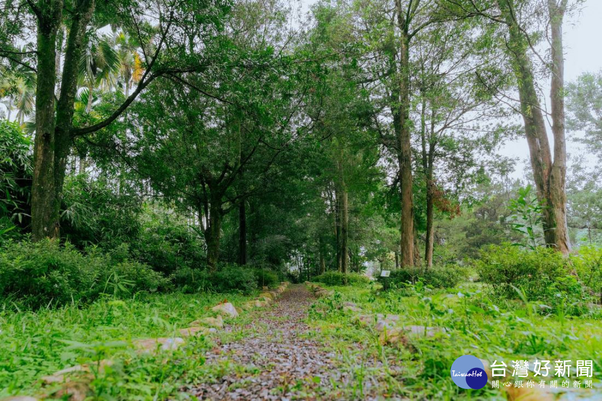 友善步道(圖/農村水保署南投分署提供)