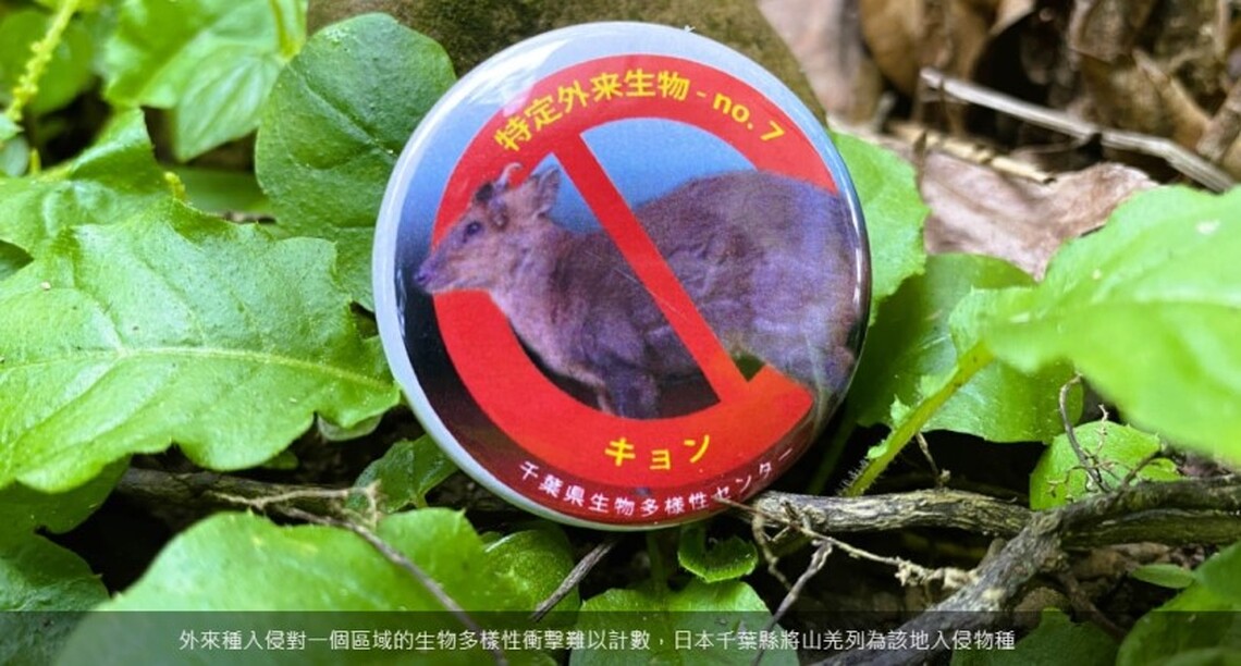 山羌日本大爆發 千里來園尋解方