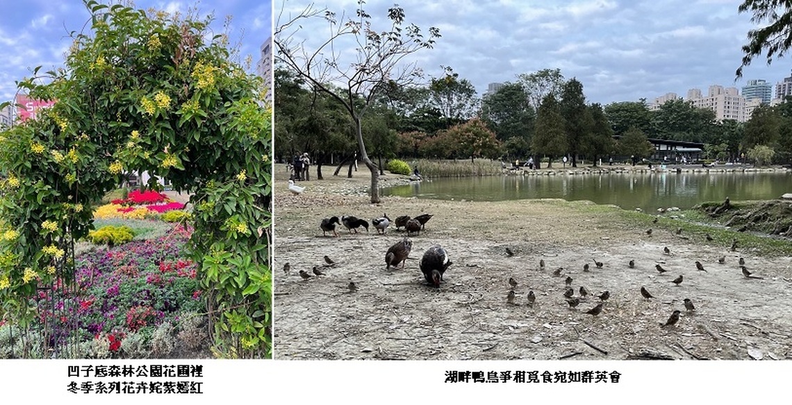 觀賞公園中花鳥水禽小犬 怡然自得亦是年節一樂
