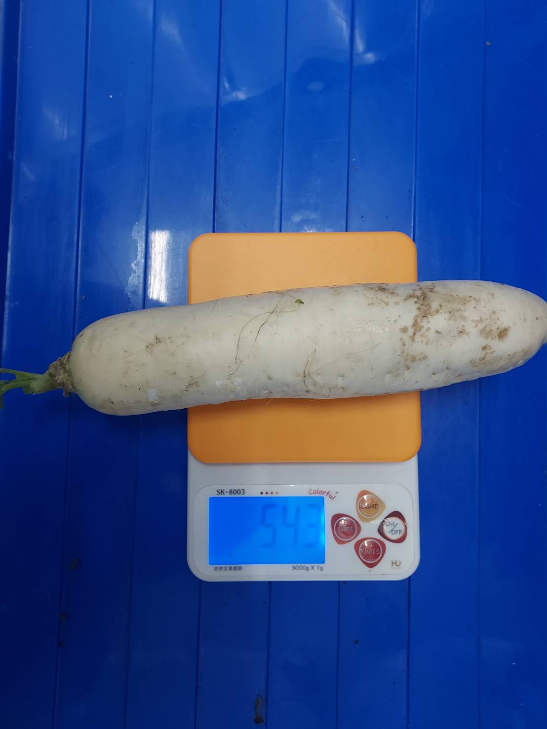 三總營養部菠菜農藥殘留超標 北市抽驗蔬果揪11件違規