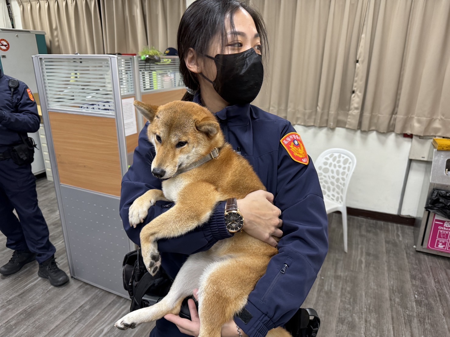 警方先將迷路的柴犬「金金」安置於所內。(記者薛秀蓮翻攝)