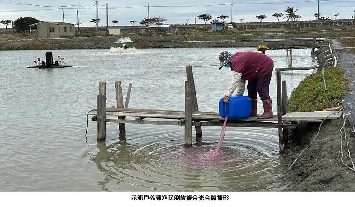 為打造生態養殖示範場域 海洋局至彌陀區漁會發放複合光合菌