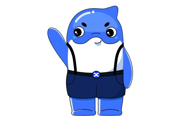 BingX Charity Partners with Whale and Dolphin Conservation BingX Charity Partners with Whale and Dolphin Conservation