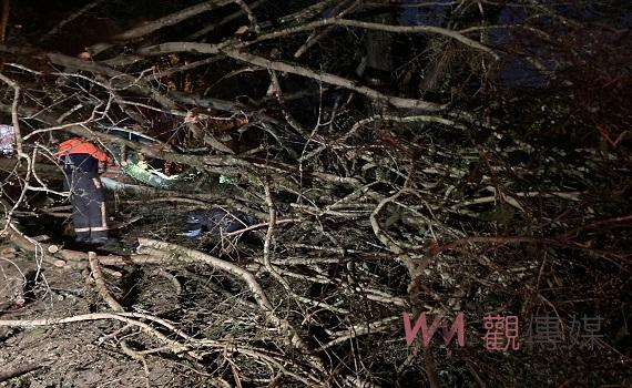 埔里鎮台灣地理中心碑29日凌晨發生大樹倒榻壓傷民眾的意外事件