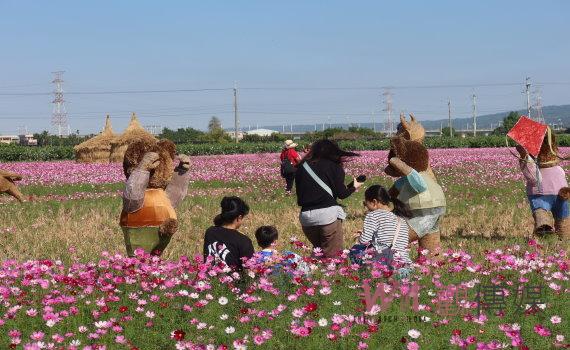 2024春遊彰化！花海盛放270公頃　繽紛花海等你來賞