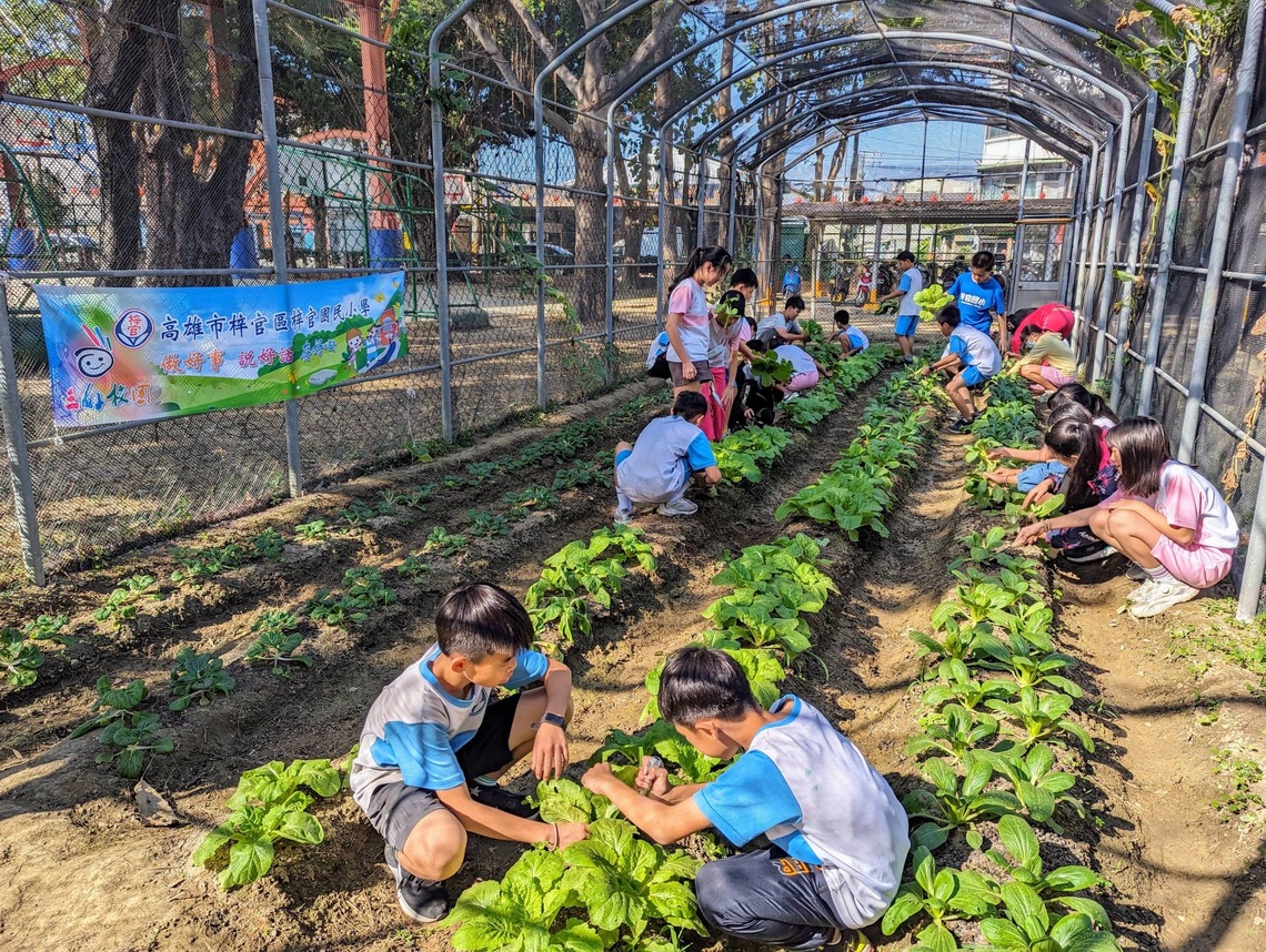漾新聞|梓官國小菜園豐收義賣助孤老學生體驗多重意義