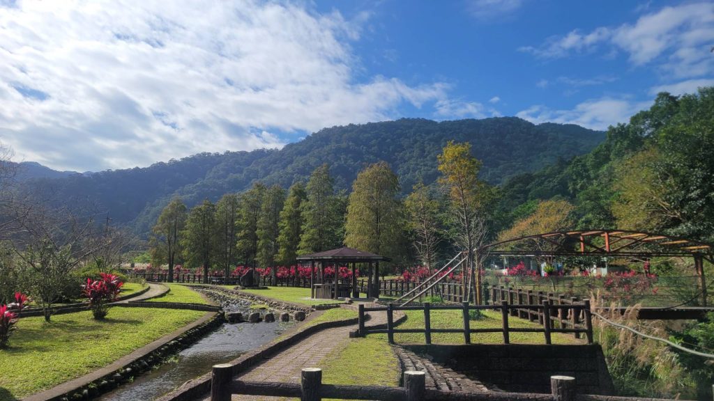 坪林九芎親水公園一整排高大的落羽松,在寒流催化下將交織成一片橙黃紅漸層美景。(圖/新北市政府提供)