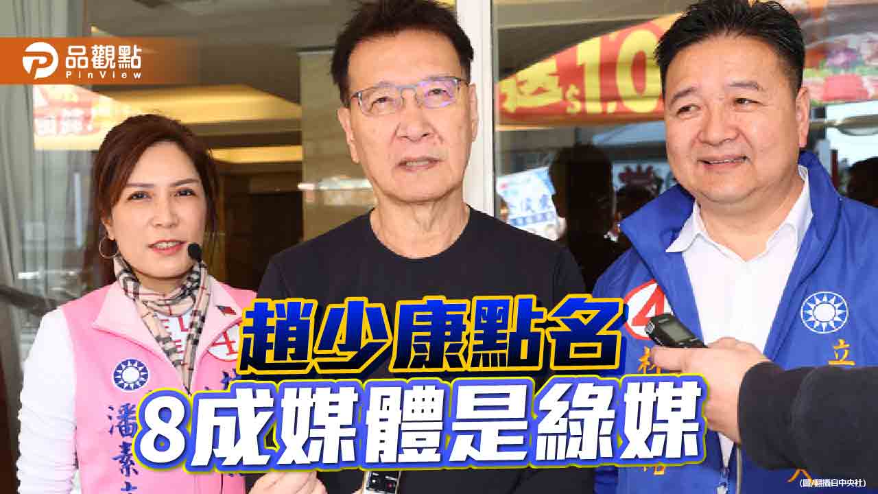 「國家隊」箝制人民言行 綠色恐怖儼然成形
