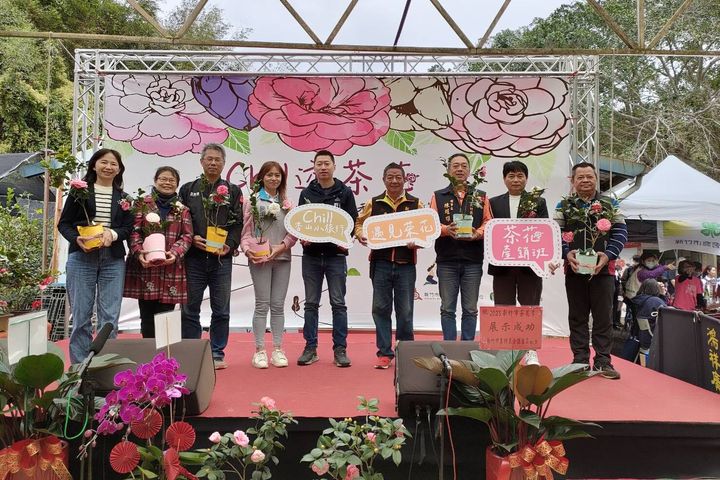 新竹市茶花季繽紛開幕。 圖:新竹市政府產業發展處/提供