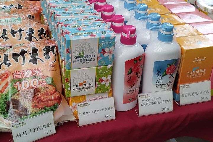 竹市茶花季歲末盛大開幕!邀民眾品花香FUN送限量花苗