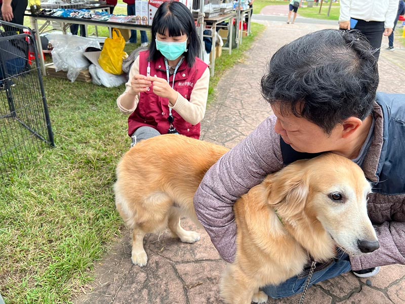 圖/新北市政府提供
