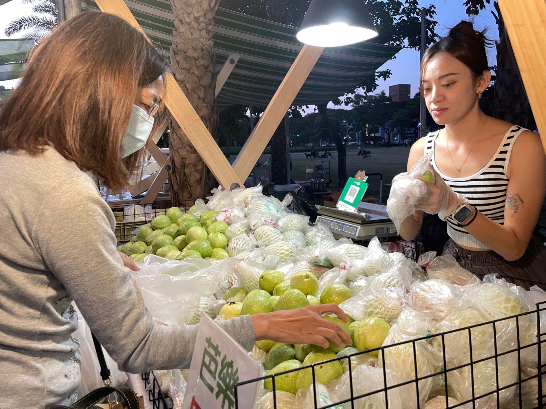 ▲市府農業局提供