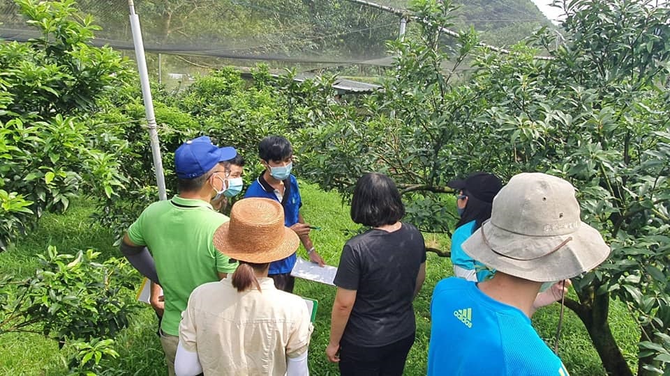 ▲儲備植醫向農友說明果園改善建議。