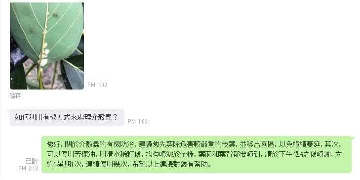 ▲民眾利用花改場LINE線上診斷服務諮詢。