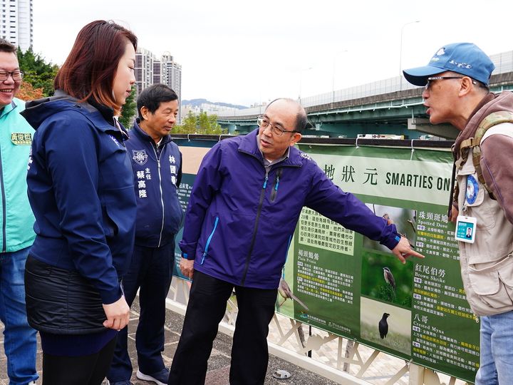 都會小旅行/遇見嶄新湳仔溝 蒼鷺、磯鷸、花嘴鴨…現蹤生態廊道