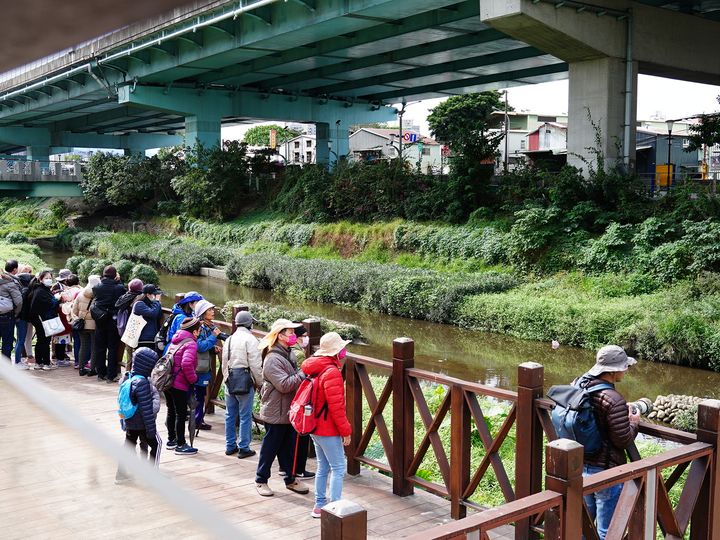 都會小旅行/遇見嶄新湳仔溝 蒼鷺、磯鷸、花嘴鴨…現蹤生態廊道