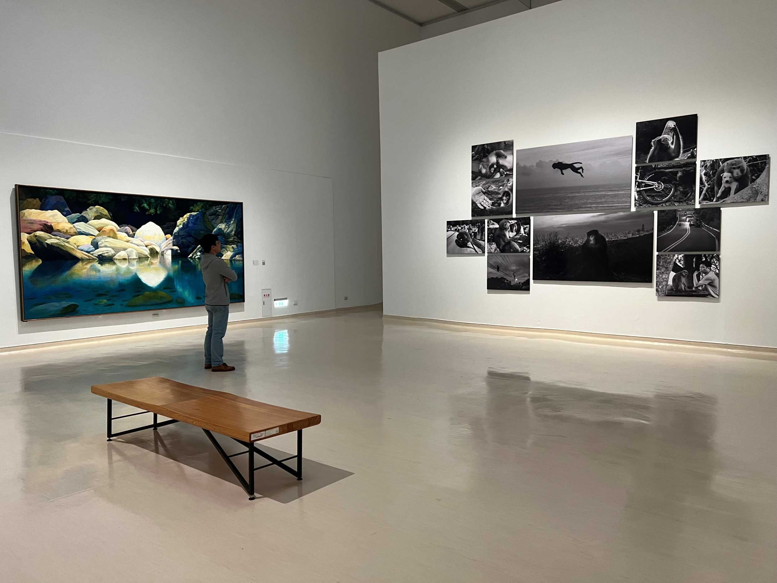 ▲高美館推出全新展覽「透景線：實境的疊隱與擴張」。（記者程啟峰攝）