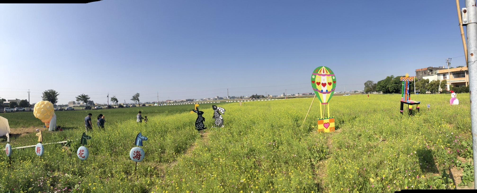 ▲埔鹽鄉南新社區發展協會舉辦「2024南新農村花海藝術節」，農田經過巧妙改種，讓向日葵、波斯菊等綻放成為繽紛花海，呈現出美不勝收的景象。（記者張溎壕攝）