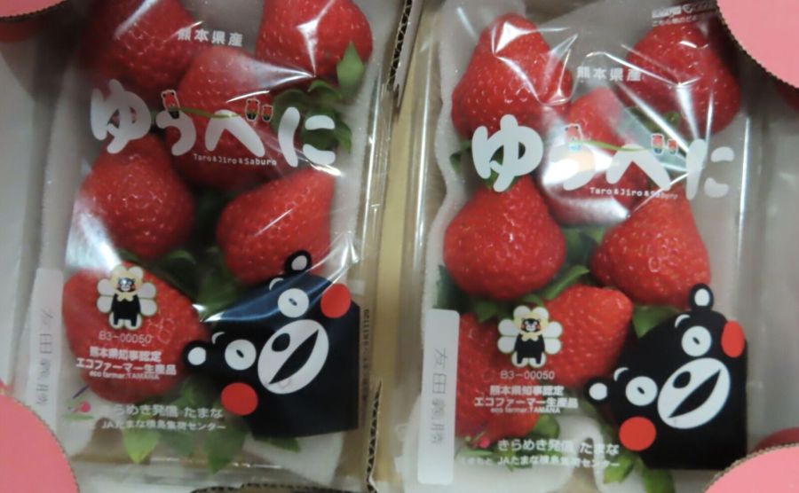 日本草莓首度變黑名單!再爆上千公斤不合格 食藥署:停止進口一個月 220 日本草莓首度變黑名單!再爆上千公斤不合格 食藥署:停止進口一個月 219