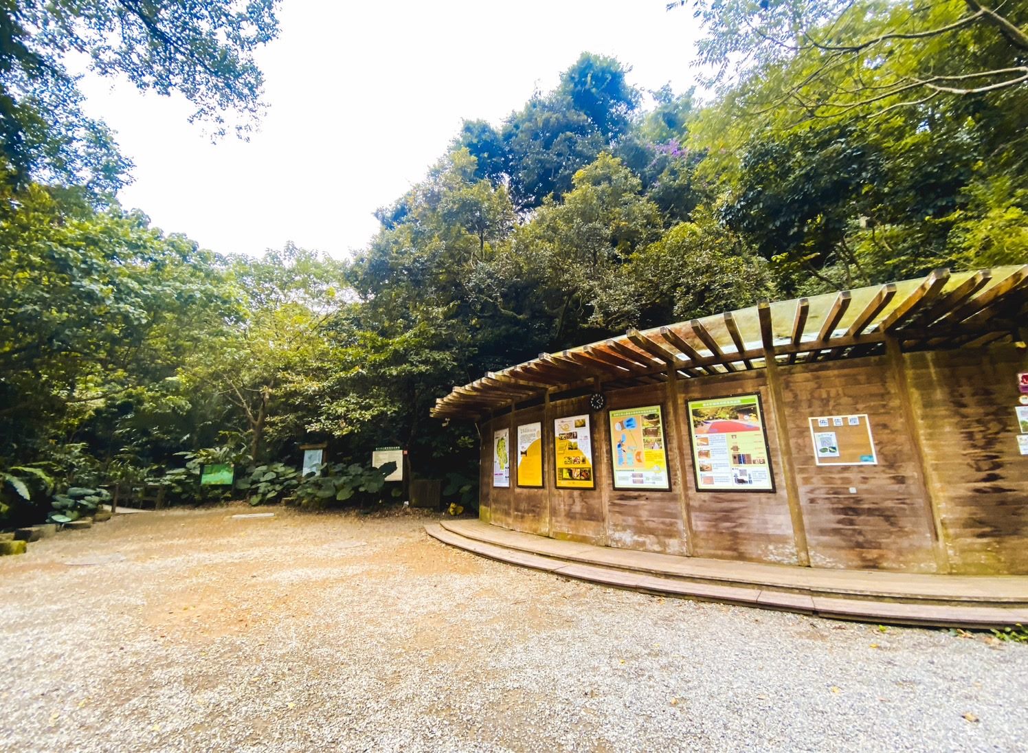 北市踏青新去處 富陽自然生態公園的秘境探索之旅