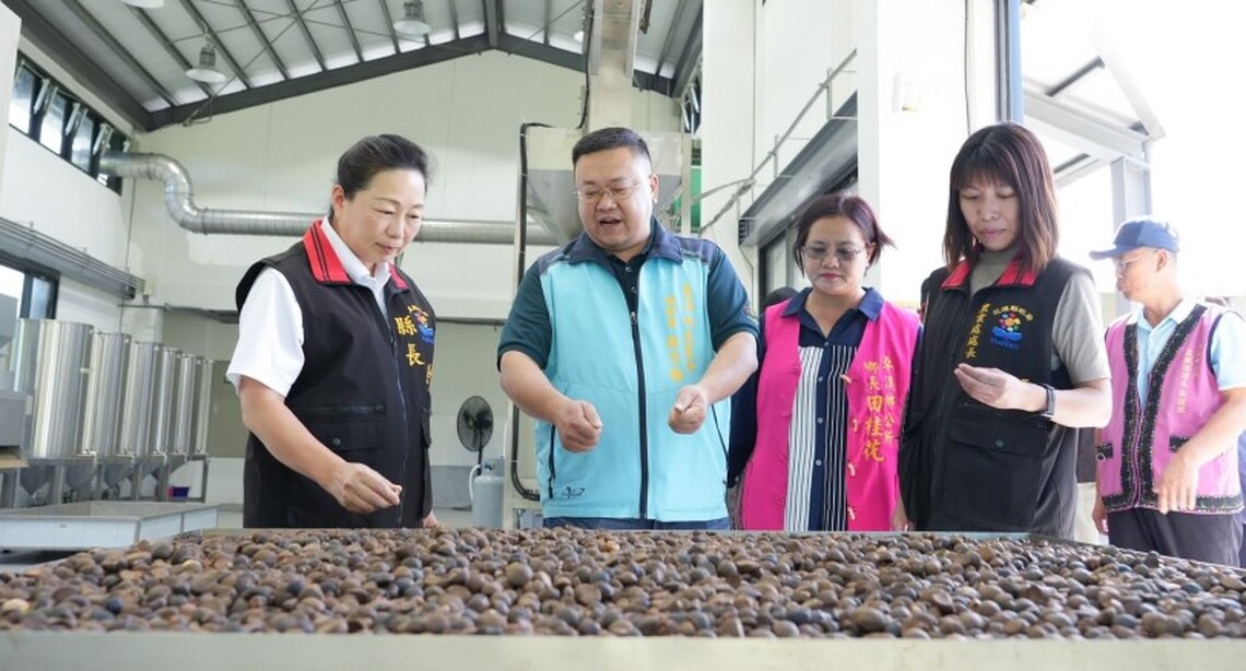 花蓮縣府打造花蓮綠金產業 從生產到加工 攜手卓溪鄉公所、玉溪地區農會完善油茶產業鏈