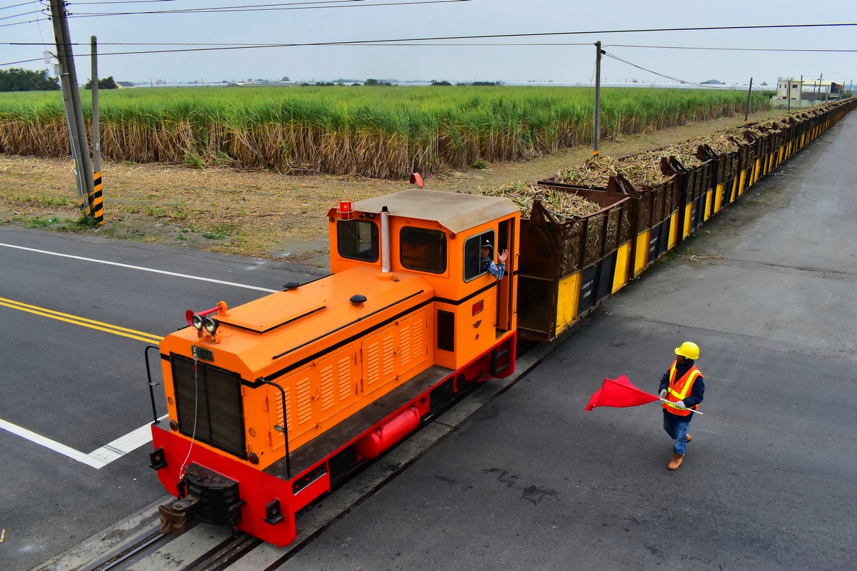 台糖虎尾、善化糖廠邀您聞糖香　追拍運蔗五分車感受糖業百年風華