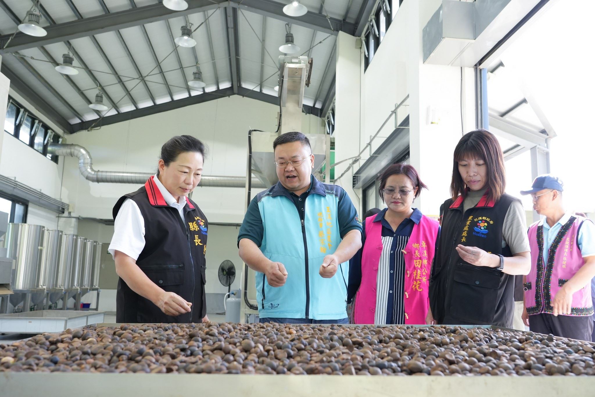 打造花蓮綠金產業 縣府建構完善油茶產業鏈