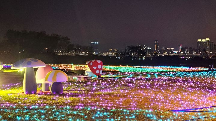 新北「鴨鴨公園地景藝術展」至1/14 把握最後機會打卡拍鴨鴨