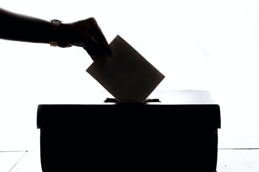 非官方柯粉發立委投票指引 藍綠小雞盼最後關頭挹注選票 194 vote-unsplash