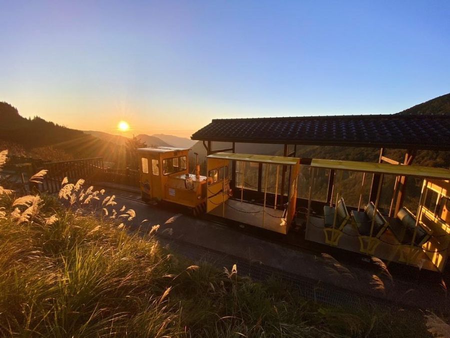 太平山國家森林遊樂區 2024春節旅遊攻略