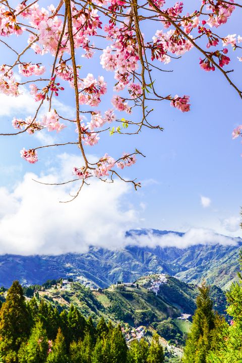 你知道「國際金旅獎」嗎?首選金獎遊程 暢享精彩視野、優質服務