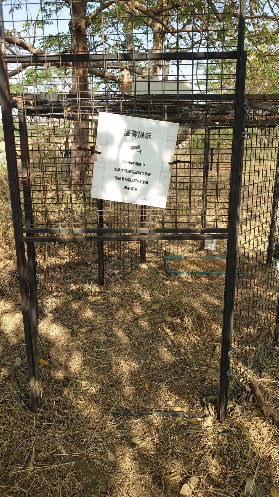 ▲中彰交界貓羅溪河床邊發現一個大鐵籠子內吊掛著煮熟的鴨頭，質疑捕狗後宰殺販售，當成「香肉」進補。（民眾提供）
