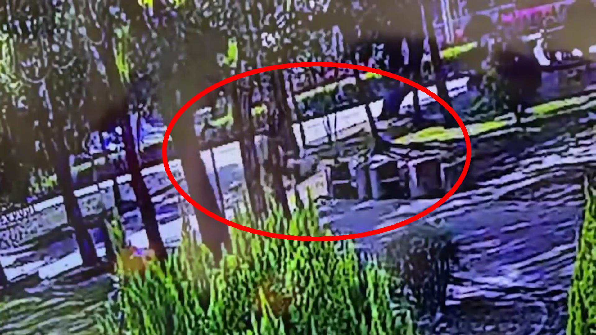 ▲員林公園隨機砍人案！兇嫌以菜刀狂襲路過女性，彰化檢方依殺人未遂罪起訴。（資料照片）
