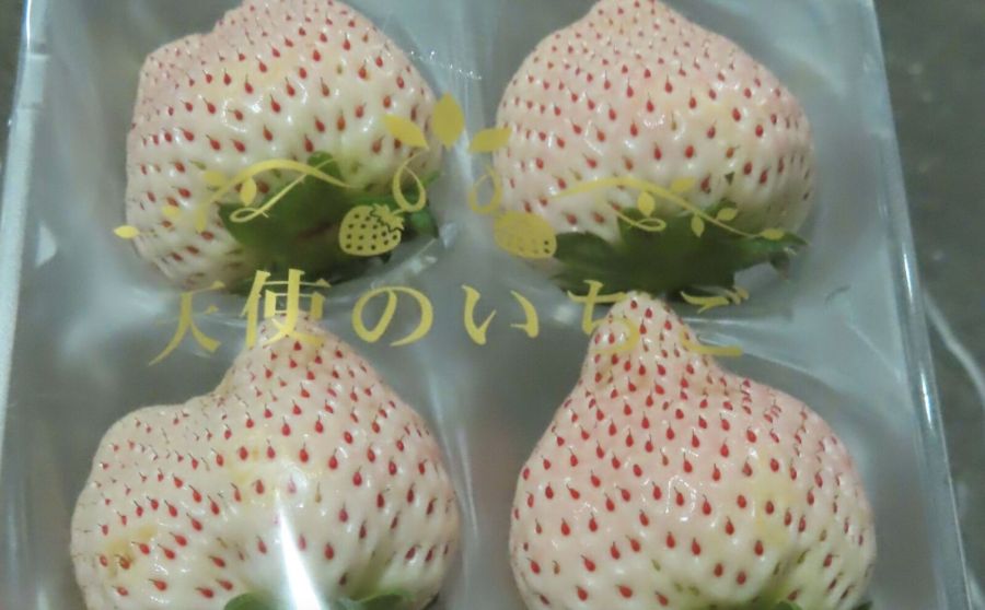 日本草莓又出事!百公斤爆農藥超標 食藥署開鍘6製造廠「停止進口」 206 日本草莓又出事!百公斤爆農藥超標 食藥署開鍘6製造廠「停止進口」 205
