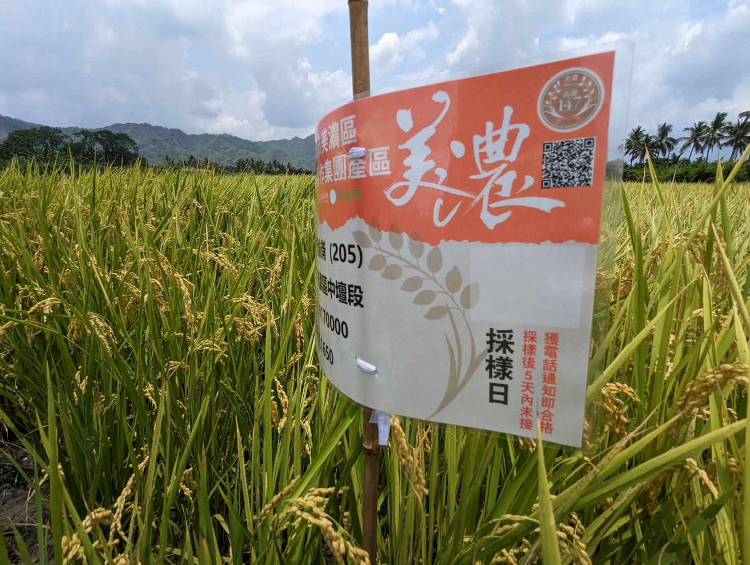 高雄智慧農業補助龍來囉！ 高雄智農龍免驚 痛點需求大募集！