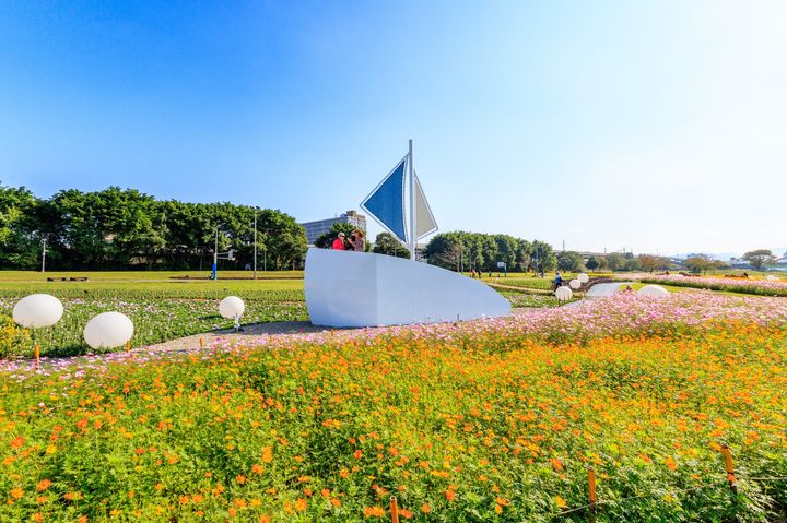 超爆美!台北市區現花海 古亭河濱公園打球、慢跑享繁花圍繞時光