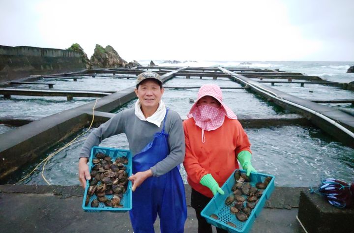 探訪海鮮寶庫澳底漁港 大啖在地漁村海味料理